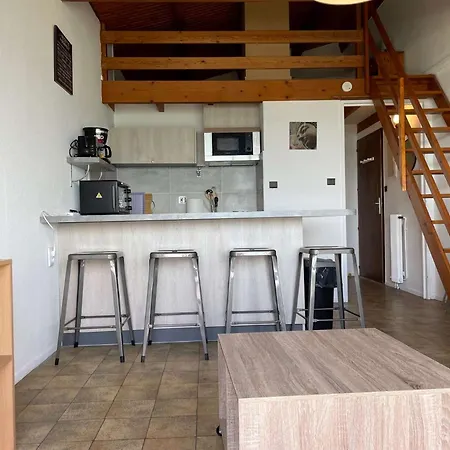 Appt Mezzanine La Rochelle - Lr540-118 Apartment *